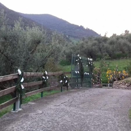 B&B Curtif Tavernola Bergamasca Dış mekan fotoğraf