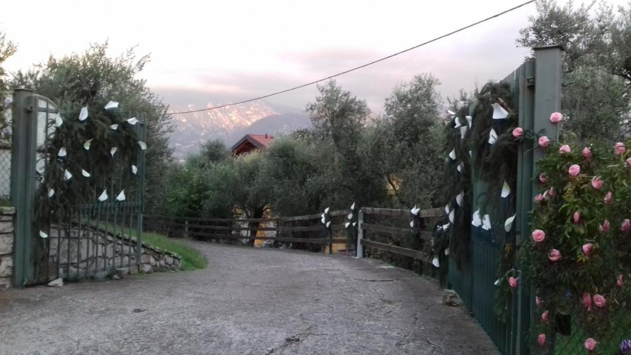 B&B Curtif Tavernola Bergamasca Dış mekan fotoğraf